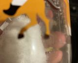 天津甘酢チャーハン作り方7写真