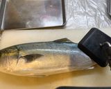 魚の捌きかた(例:イナダ)作り方1写真