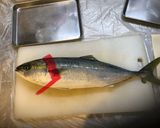 魚の捌きかた(例:イナダ)作り方2写真