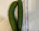 おばけきゅうりの梅漬け作り方1写真