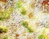 究極の旨味凝縮！ブロッコリーの唐揚げ作り方3写真