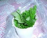 お手軽♪大葉保存法作り方5写真