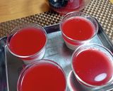 ★低糖質！スイカとミルクの２層ゼリー♪作り方15写真