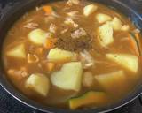 フライパン１つで夏野菜スープカレー作り方16写真
