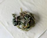 節約＆食欲そそる豚こまのスタミナ春巻き作り方5写真