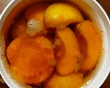見た目の悪い梅で最強旨味調味料　梅酵母作り方32写真
