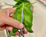 豚バラのトマトチーズバジル巻き作り方3写真