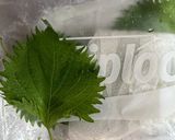 ズボラ必見！大葉の長持ち保存法作り方5写真