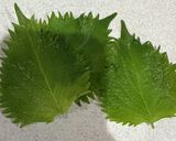 ズボラ必見！大葉の長持ち保存法作り方6写真