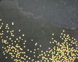 ダールタルカ風♪ムング豆のカレー作り方10写真