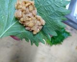 納豆嫌いもうなる！納豆の大葉包み天ぷら♪作り方1写真