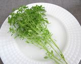 セミドライトマトとツナのスパゲッティ作り方8写真