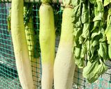 割干し大根の煮物作り方1写真