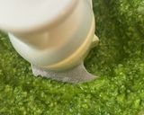 生バジルで作る　ジェノベーゼペースト作り方4写真