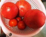 生トマトのミートソース作り方6写真