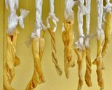 凍み大根の煮物作り方8写真