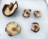 好きな具材を入れて♪ピェンロー鍋作り方2写真