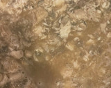 もやしとブリとピーマンの中華風炒め作り方5写真