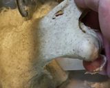 ふんわりライ麦入りハンバーガーバンズ作り方4写真