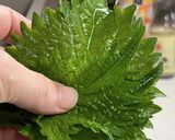 きゅうりの大葉レモンめんつゆ漬け作り方3写真