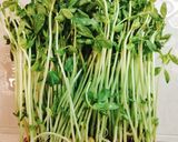 簡単！豆苗サラダ作り方1写真
