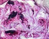 【動画有】ブルーベリーレアチーズケーキ作り方8写真