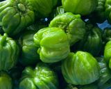 ひしの南蛮の炒め煮作り方1写真