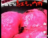 紅生姜の漬け方作り方10写真