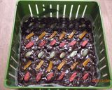 ピールinチョコのさぶれスティック♪作り方12写真
