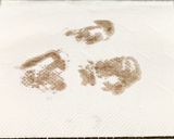 55℃ 「ユッケソース」和牛のユッケ風作り方28写真