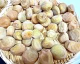 梅干し仕込み－②作り方10写真