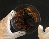 レンジで簡単！ピリッと山椒香る福神漬作り方5写真