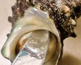 😊魚焼きグリルで簡単♪さざえのつぼ焼き😊作り方3写真