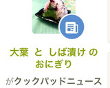 大葉 と しば漬け の おにぎり作り方15写真
