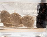 63℃ 鯖バーグ弁当：簡単、高タンパク！作り方14写真