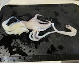 イカゲソのバターソテー炒め作り方1写真
