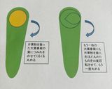 くるくる巻くだけ、春菊しゅうまい作り方1写真