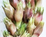 美味しい【みょうが】【きゅうり】酢物作り方2写真