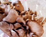 すき焼き風～簡単で出来ますよ作り方1写真