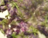 お花見今だけじゃもったいない！花の砂糖漬作り方2写真