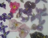 お花見今だけじゃもったいない！花の砂糖漬作り方4写真