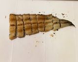 とろふわっ! 鰻巻き作り方1写真