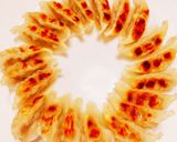 焼き餃子（焼くパターンのみ）作り方5写真