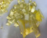 高麗人参とレモンで作る塩麴作り方6写真