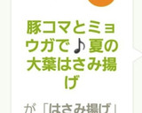 豚コマとミョウガで♪夏の大葉はさみ揚げ作り方11写真