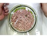 ゴロゴロ野菜のつけそうめん★動画あり★作り方2写真