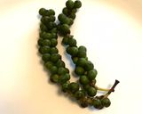 大人のスパイシートマトジュースの再現作り方7写真