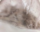 ごぼうのカリカリ揚げ作り方2写真