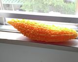 完熟まっ黄色のゴーヤジャム作り方1写真