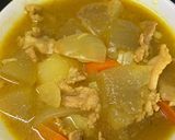 冬瓜のカレースープ作り方6写真